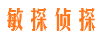 丰城侦探公司